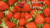 "He Kept An Apartment The Entire Time!!!" Strawberry Letter With Shirley Strawberry