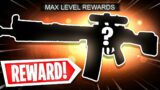 the NEW MAX LEVEL REWARD in SEASON 2 on Ashika Island Warzone!