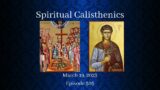 03-19-2023 – Spiritual Calisthenics – Daily Readings with Fr. Dimitri – Episode 305