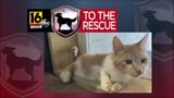 16 To The Rescue: Mr. Jitters