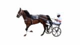 pronostic quinte vincennes vendredi 31 mars 2023 R1C8