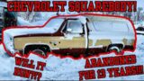 1983 Chevrolet Silverado Loaded with Options! Abandoned for 13 Years! Squarbody Will It Run?!?