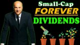 5 Small-Cap Dividend Stocks to Buy & Hold FOREVER!! – "Kevin O'Leary"
