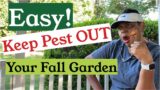 6 EASY Tips To Keep Pest Out Your Fall Garden | Container Gardening