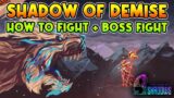 9 YEARS OF SHADOW Gryphon / Shadow Of Demise Boss Fight
