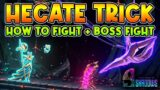 9 YEARS OF SHADOW Hecate Trick Boss Fight