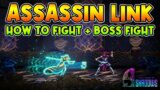 9 YEARS OF SHADOW How to Fight Link Boss Fight