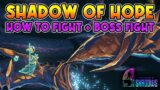 9 YEARS OF SHADOW Serpent / Shadow Of Hope Boss Fight