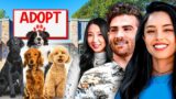 ADOPTING A SECOND DOG?? Ft. Fuslie, Hasanabi & Miyoung