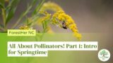 All About Pollinators! Part 1: Intro for Springtime