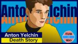 Anton Yelchin's Death Story