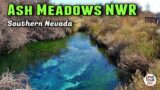 Ash Meadows National Wildlife Refuge in Southern Nevada