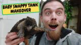 Baby Snappy Tank Clean And Makeover (Snake Island Exotics)
