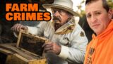 Beehive Bandits: Why Criminals are Stealing the Bees (FARM CRIMES)