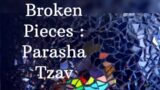 Broken Pieces : Parasha Tzav