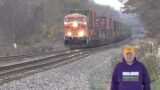 CSX Train Meets BNSF Train! Red Fox Trots Near Tracks w Train Coming Big Freight Train + More Trains