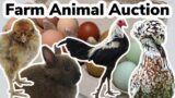 Chicken & Farm Animal Auction