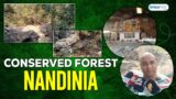 Conserved forest range Nandinia
