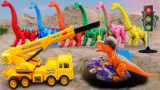 Crane, Excavator, Police car rescue Dinosaurs |  Following traffic rules – Car toys for kids
