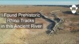 Discover 50 Million Year Old Mammal Tracks in Ancient Rivers