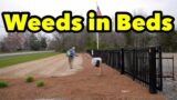 EASY Keep Weeds OUT Of Your Natural Areas and Beds