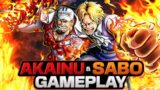 EX Fleet Admiral Akainu & Dressrosa Sabo Gameplay | One Piece Bounty Rush