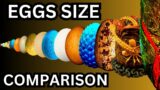 Eggs Size Comparison | Extinct Now Fictional