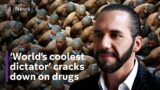El Salvador drug gangs face ‘world’s coolest dictator’ as innocent suffer in crackdown
