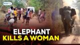 Elephant kills women