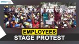 Employees stage protest