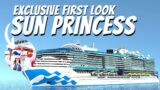 Everything We Know About Sun Princess!