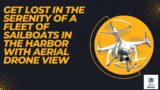 Get Lost in the Serenity of a Fleet of Sailboats in the Harbor with Aerial Drone View #shorts