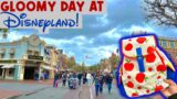 Gloomy Day At Disneyland | Updates Around The Park