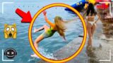 Great Lessons 30 Luckiest People Caught On Camera #31 | AMZ