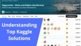 Happywhale – Whale & Dolphin Identification | Understanding Top Kaggle Solutions