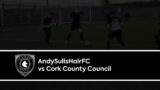Hoggy To The Rescue: AndySullsHairFC vs Cork County Council FC