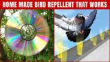 Homemade Bird Repellents to Keep Birds Away (That Works 100%) – Top Repellents