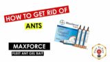 How To Do My Own Pest Control – Maxforce Fleet Ant Gel Bait