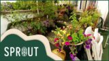 How To Have The Most Beautiful Garden In The Neighbourhood | Great British Garden Revival | Sprout