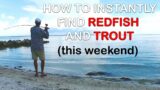 How To Instantly Find Redfish & Trout This Weekend