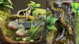 How to Make a River Diorama / Epoxy Resin / Yellow Anaconda Snake & Pacu Fish