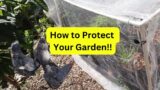 How to Protect Your Grow Bag Garden From Pests!!!