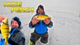 Ice Fishing for Walleye and Big Perch + Underwater Camera Footage