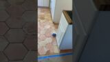 Kitchen Floor Installation ( TerraCotta )