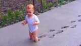 Laughing Naughty Baby Trouble Maker Funny Videos – Try Not to laugh