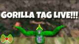 Live Playing Gorilla tag *RN* Code on screen!!!