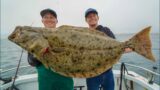 MASSIVE California Halibut!! Catch Clean Cook (Channel Island Fishing California)