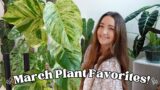March Plant Favorites! My Top 8 Favorite Plants Right Now!