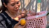 Marry Curious To EAt Heavens Fruits After Mom Harvest At Tree