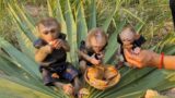 Mason, Marry&Marrya Have Great Party Outside With Heavens Fruits